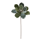 Blue Green Magnolia Stem