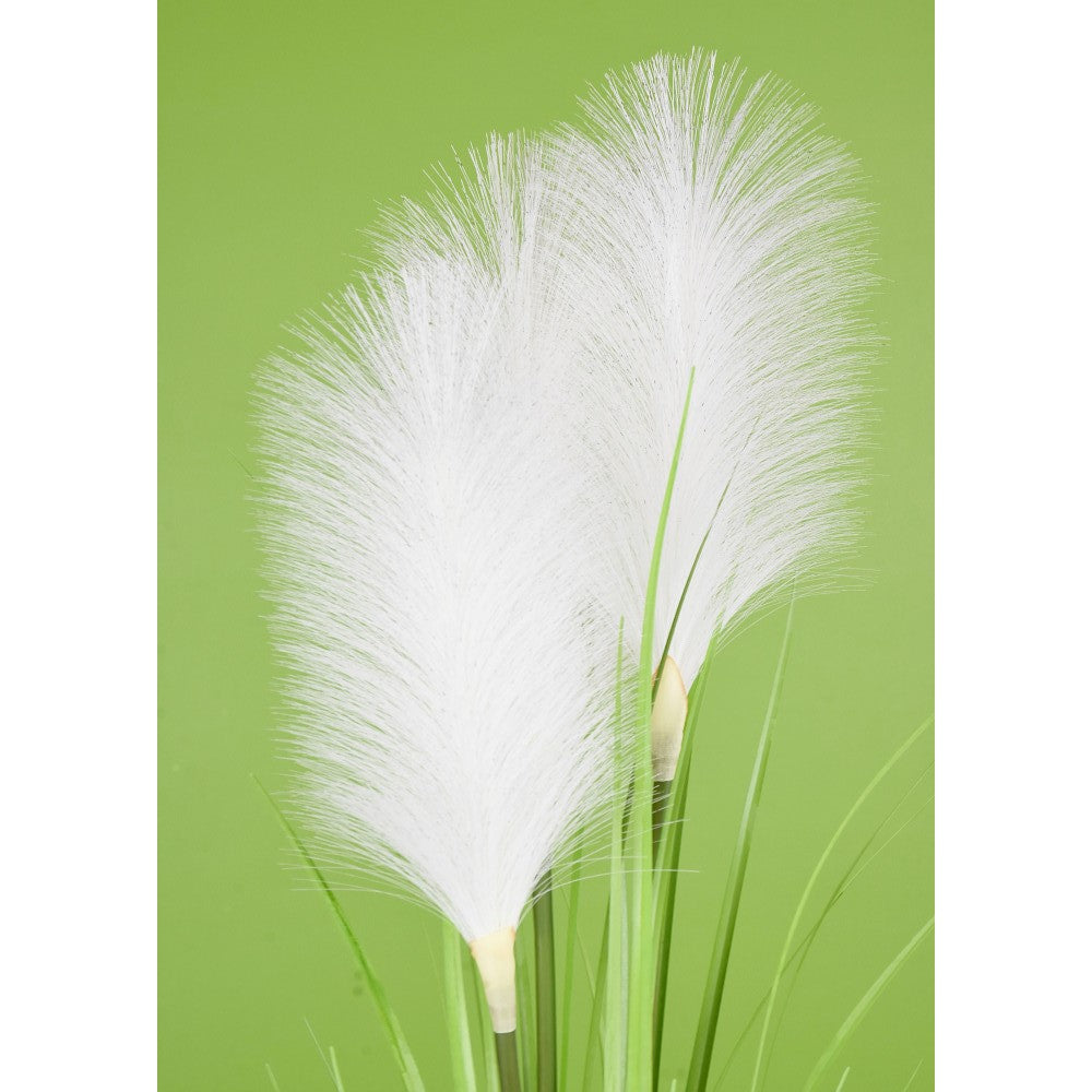 White Reed Grass Bush