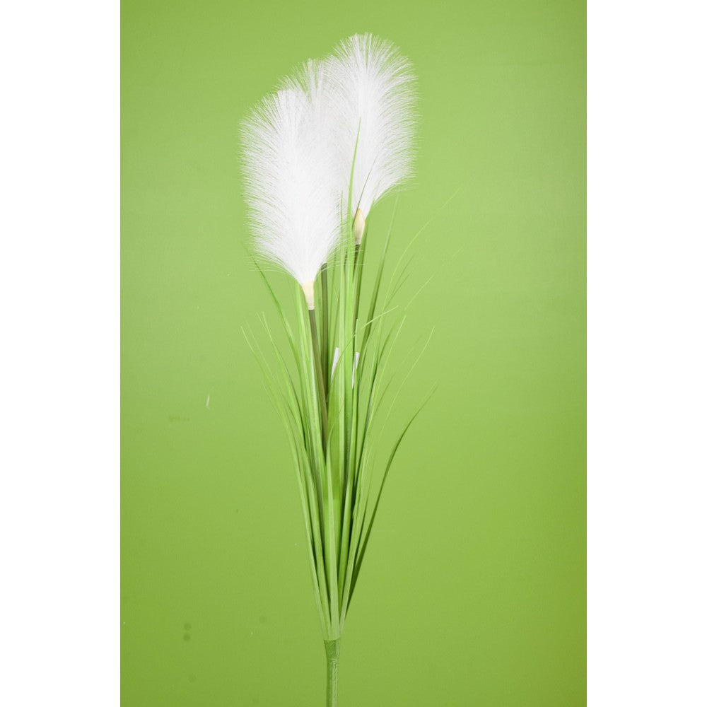 White Reed Grass Bush – Magnolias
