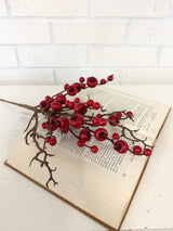 Red Natural Twig Berry Pick