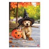 Goldens With Broom Suede Garden Flag