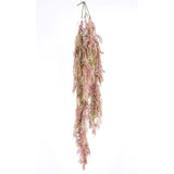Pink Hanging Fern