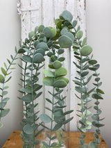 UV Protect Eucalyptus Hanging Bush