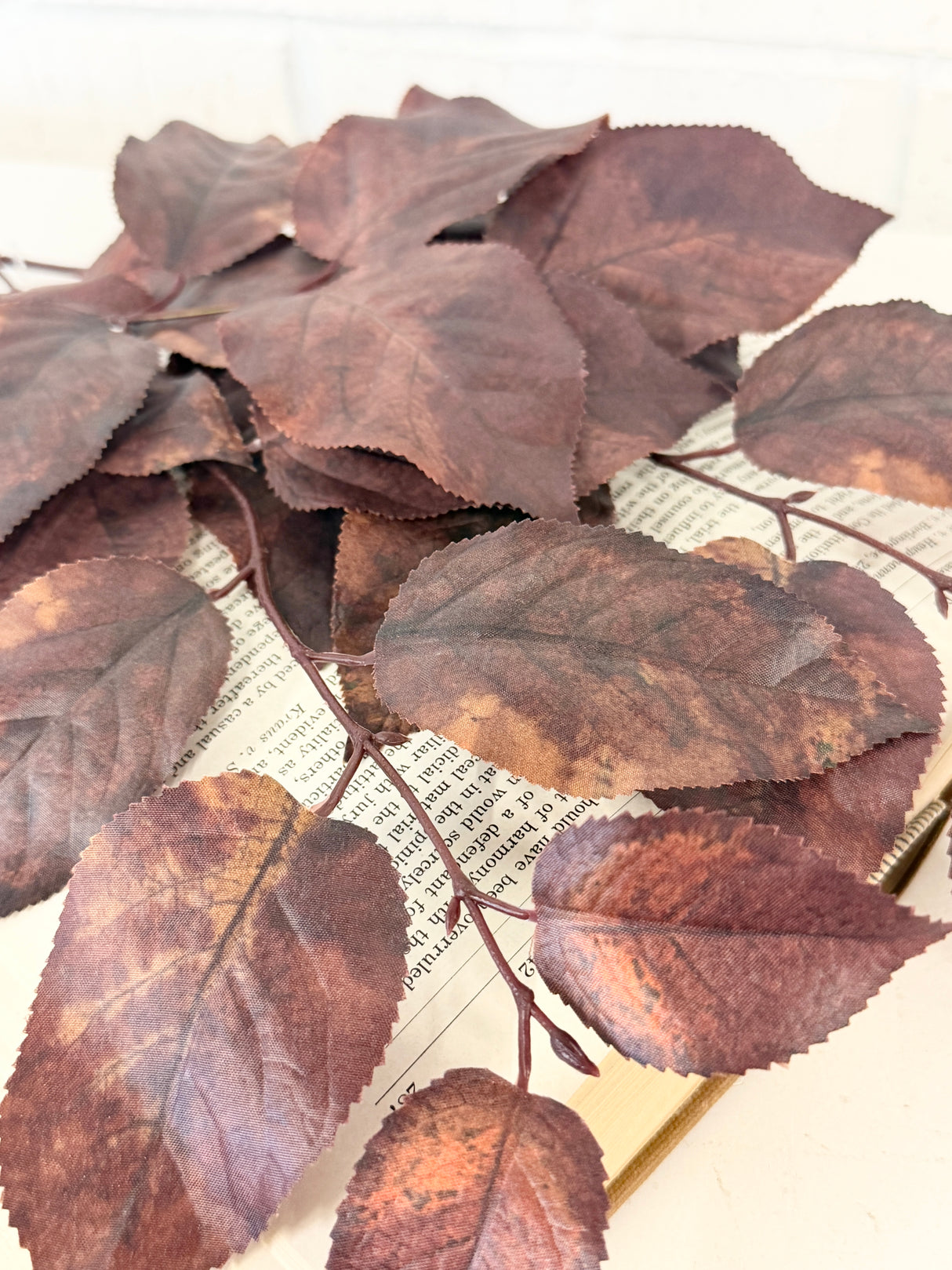 Brown Salal Leaf Spray