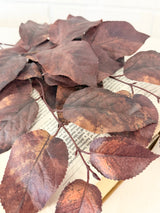 Brown Salal Leaf Spray