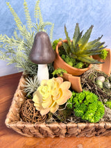 12" Succulent Garden Dish Centerpiece