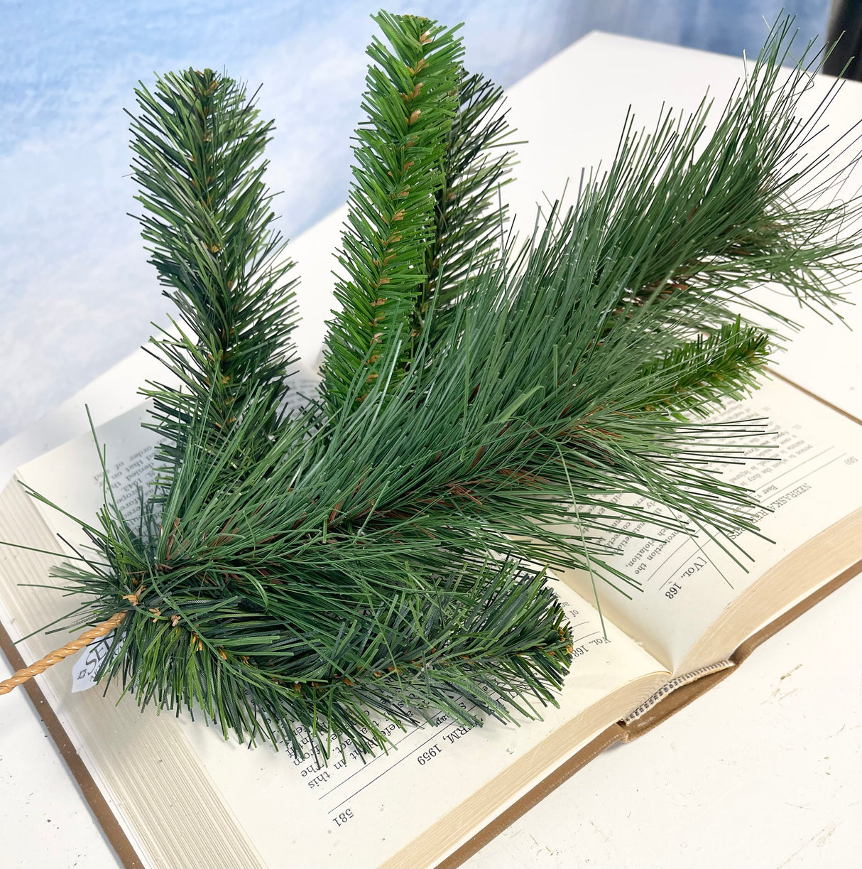 Short Himalayan Pine Pick