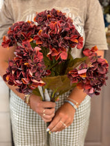Rust Harvest Hydrangea Bush