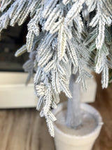 48" Catching Snowflakes Pine Tree