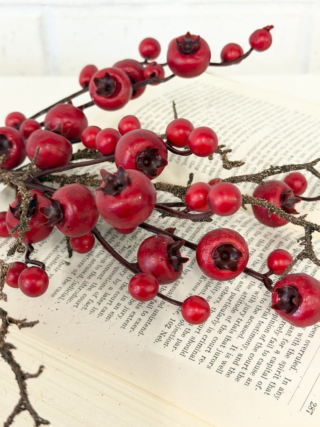 Red Natural Twig Berry Pick