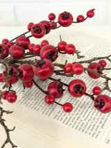 Red Natural Twig Berry Pick