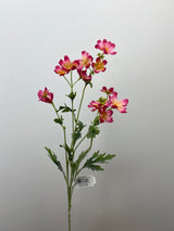 Pink Baby Cosmos Spray