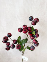 Plum Berry Spray