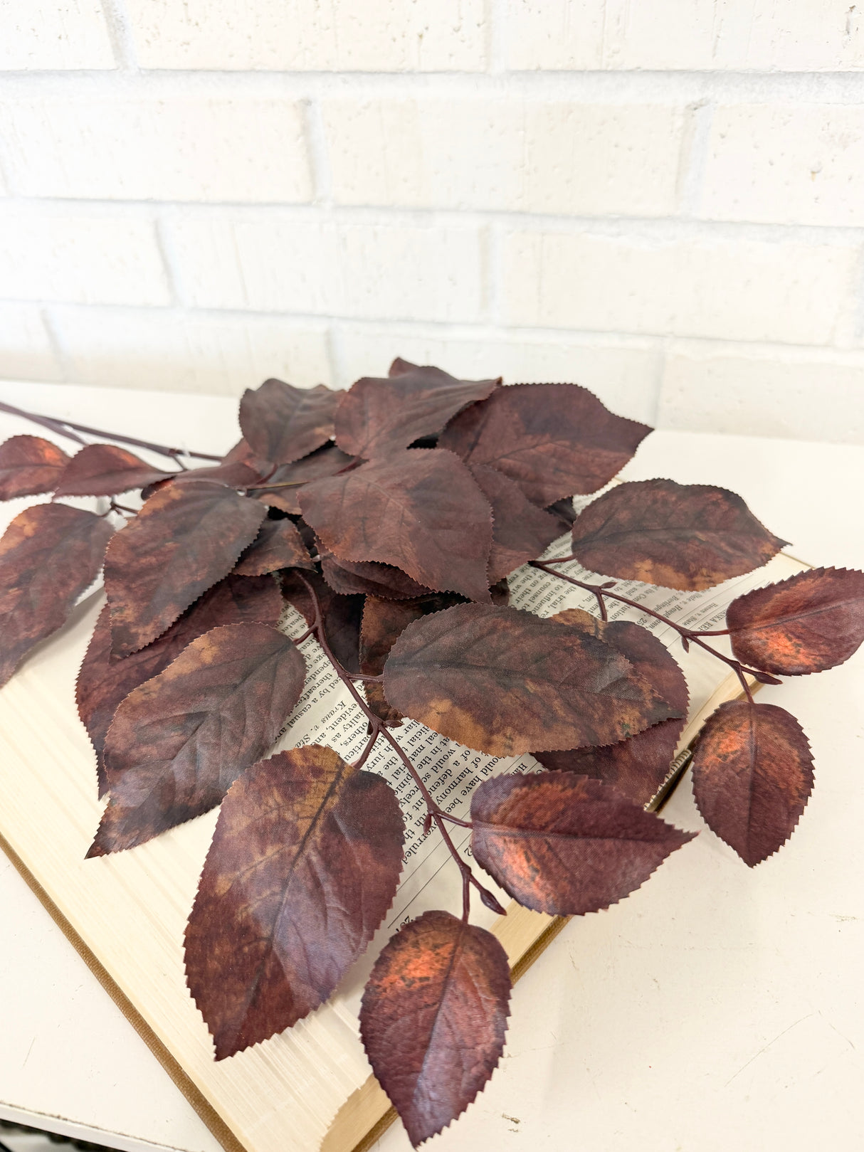 Brown Salal Leaf Spray