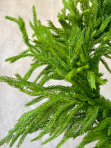 Real Touch Norfolk Pine Wreath