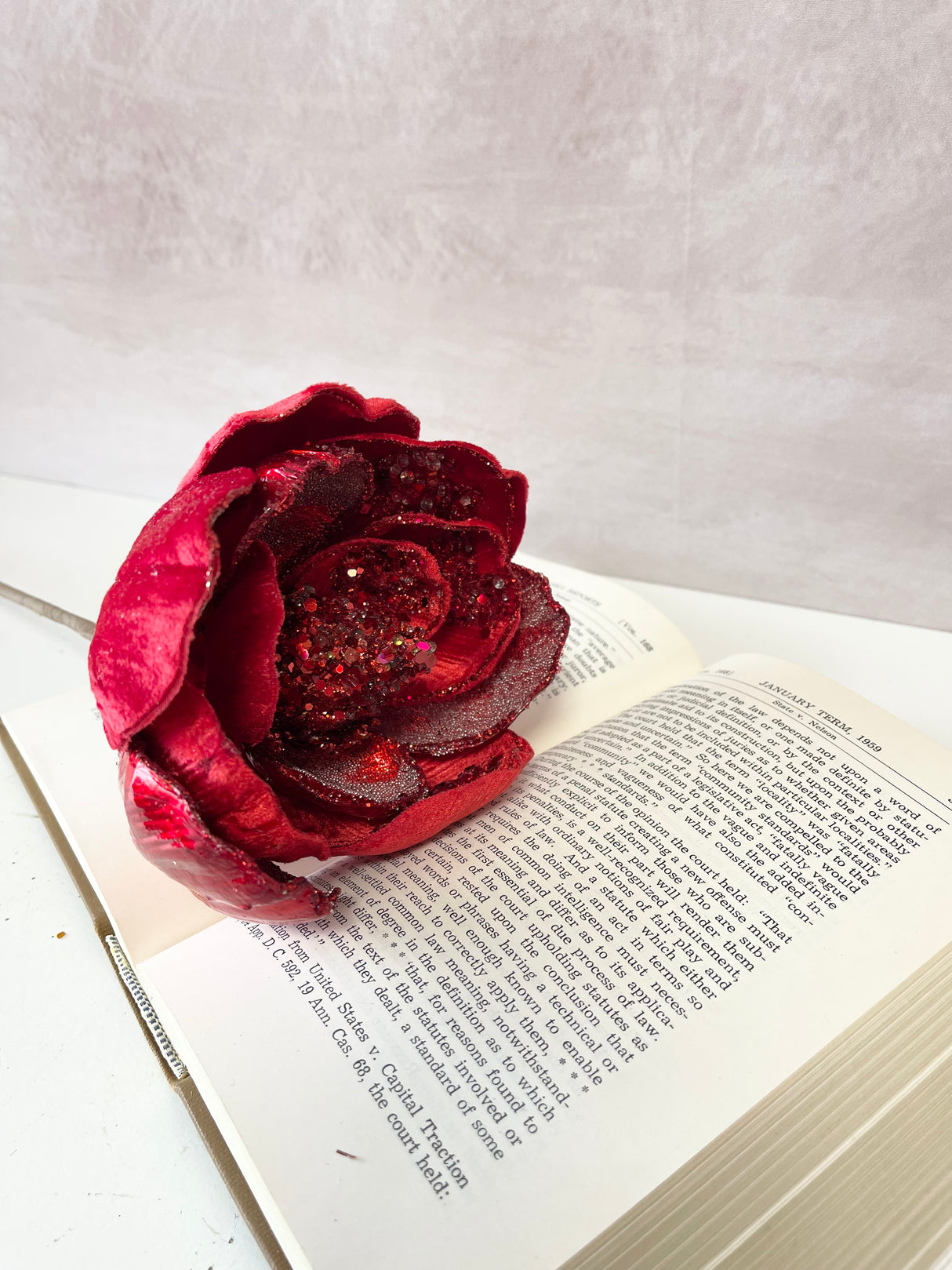 Christmas Red Magnolia Stem