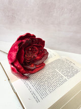 Christmas Red Magnolia Stem