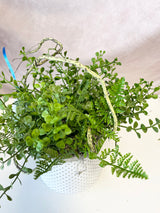 10" Flooded In Green Centerpiece