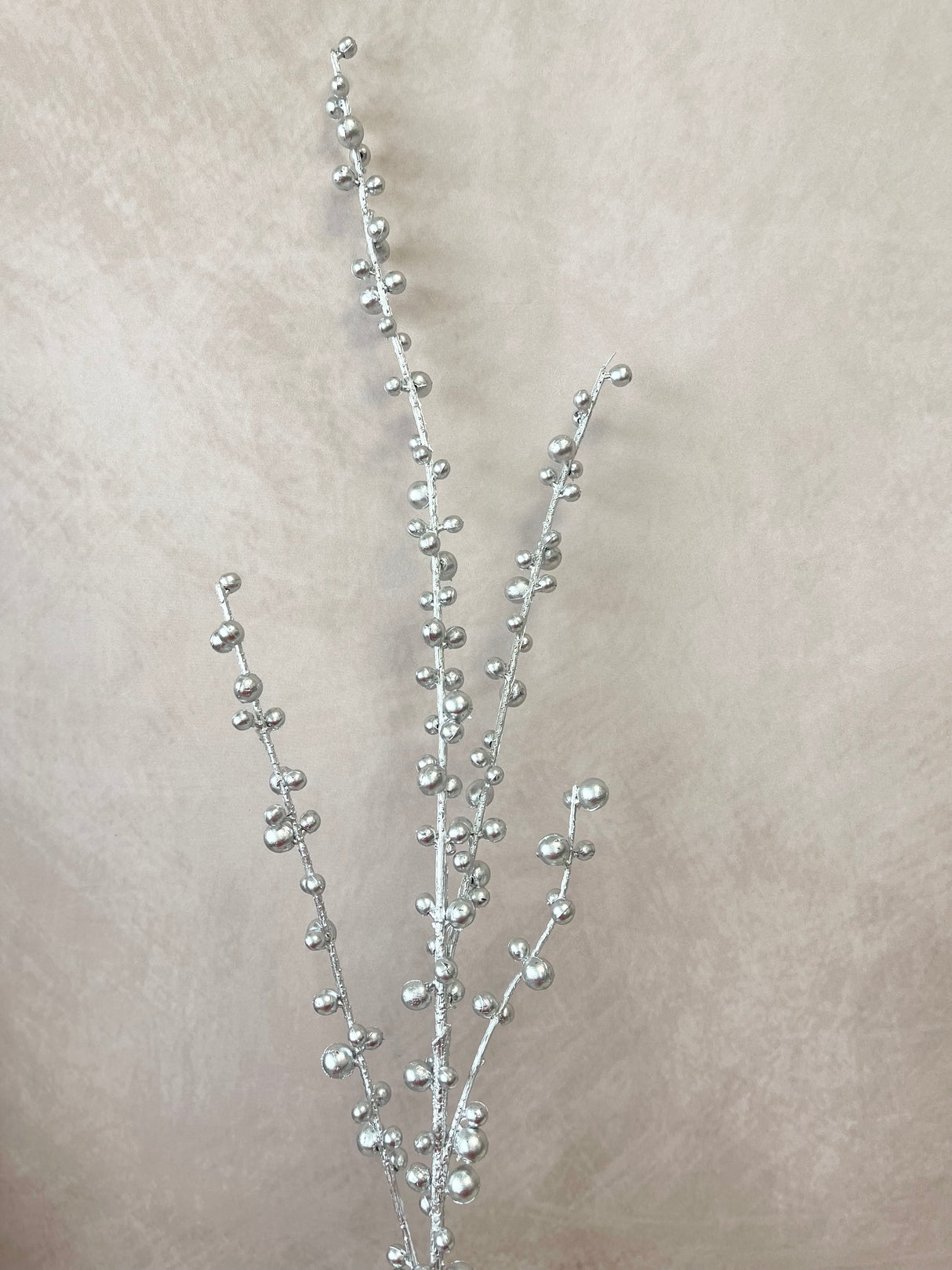 Freezing Silver Berry Stem