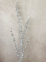 Freezing Silver Berry Stem