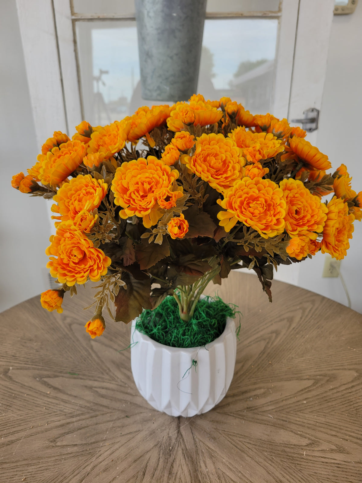Gold Mum Bush