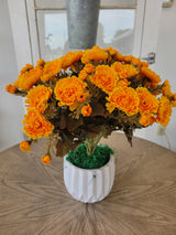 Gold Mum Bush