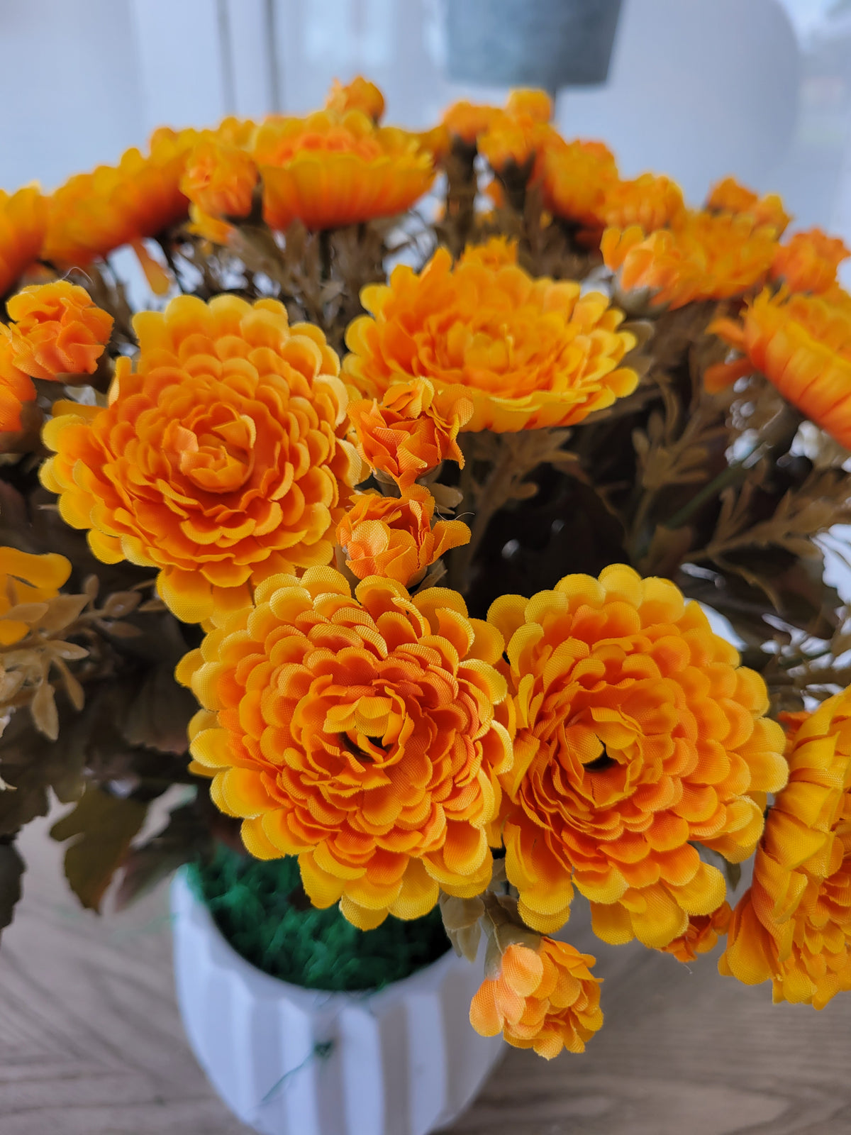 Gold Mum Bush