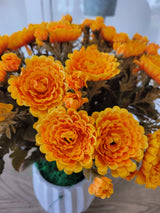 Gold Mum Bush