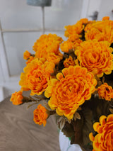 Gold Mum Bush