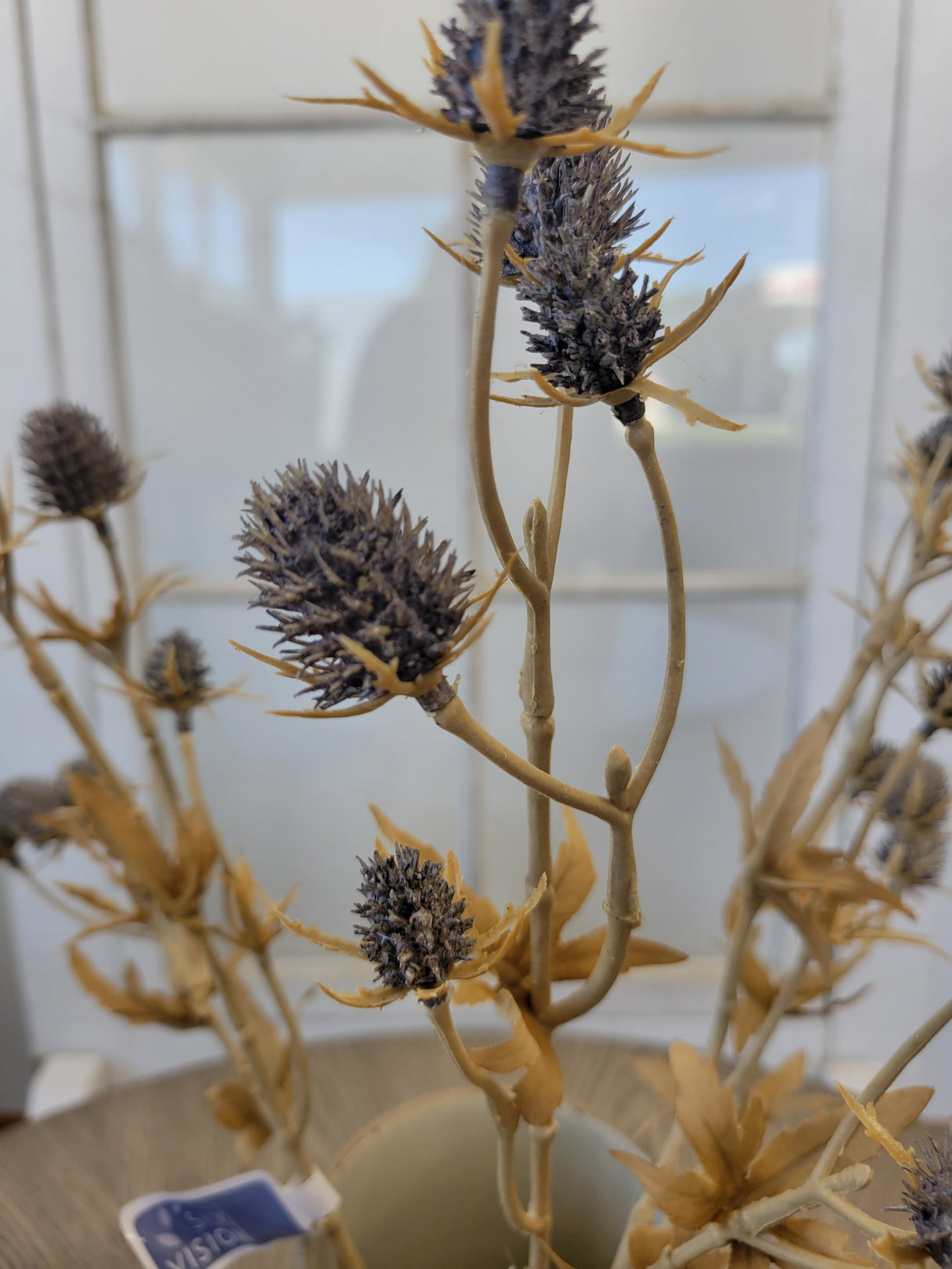 Slate Blue Eryngium Thistle Spray