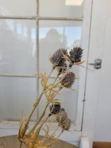 Slate Blue Eryngium Thistle Spray