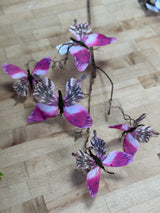Fuschia Into the Field Butterfly Spray