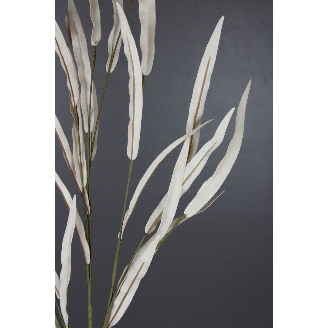 Hometown Eucalyptus Spray