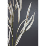 Hometown Eucalyptus Spray