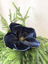 Navy Velvet Magnolia With Gold Edge