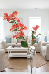 Coral UV Protect Bougainvillea Spray