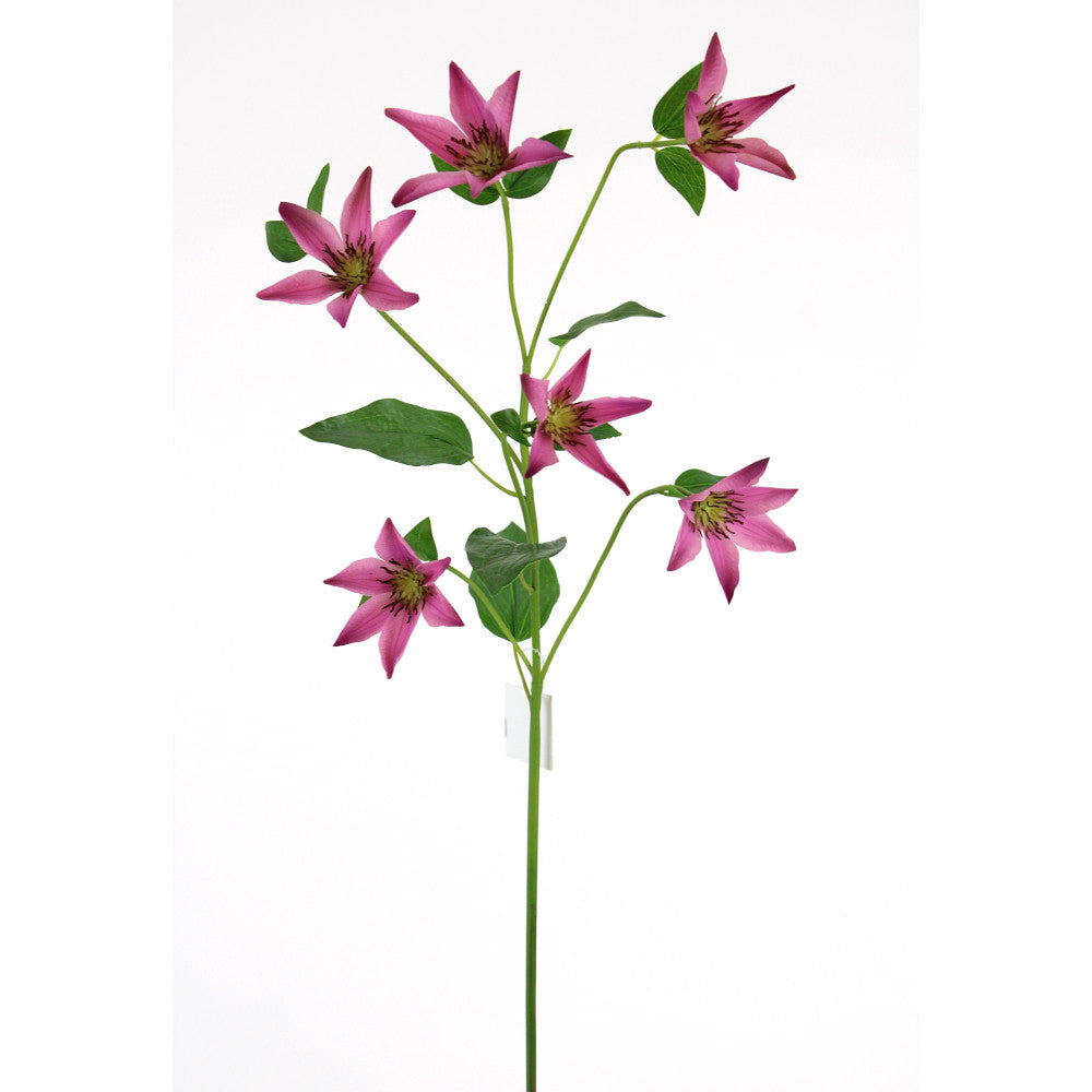 Mauve Clematis Spray