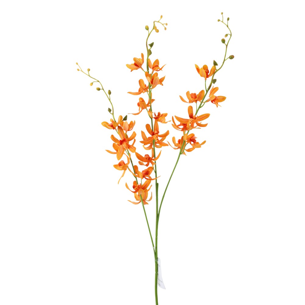 Chinese Cymbidium Spray