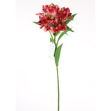 Pink Alstroemeria Spray
