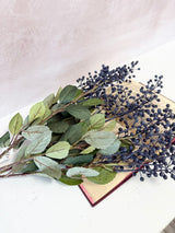 Dark Blue Foliage Seed Bush