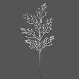 Snowed Natural Snow Branch