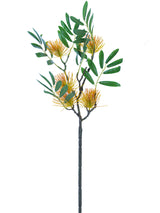 Sunset Thistle Spray