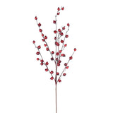 Cranberry Pomegranate Spray