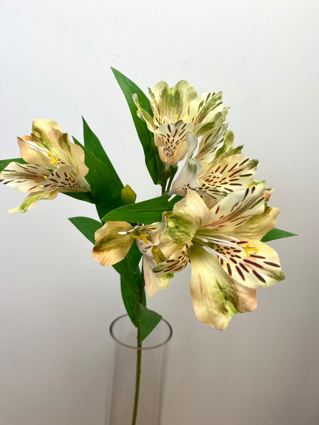 Yellow Alstromeria Spray