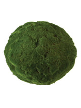 13" Moss Orb