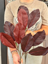 Burgundy Magnolia Leaf Spray