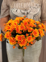 Yellow Orange Mini Mum Bush