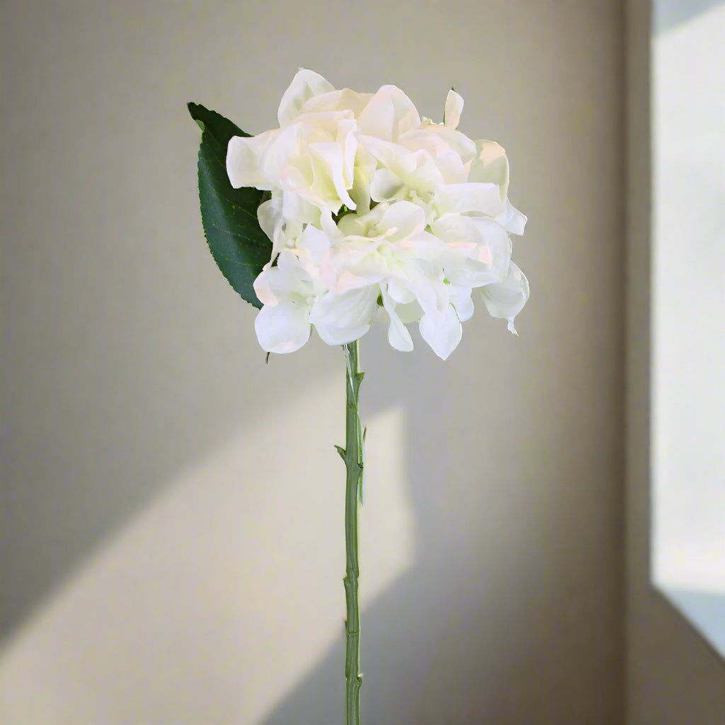 Blossom Cream Hydrangea Stem