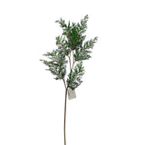 Green Eastern Cedar Spray