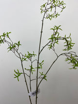 Green Mini Leaf Spray